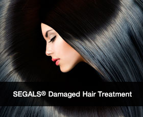Segals Damaged Hair Treatment